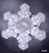 Masaru Emoto waterkristal